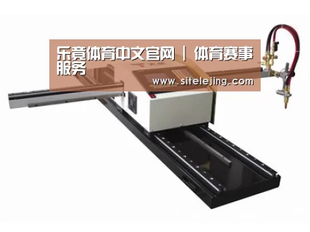 案例展示一