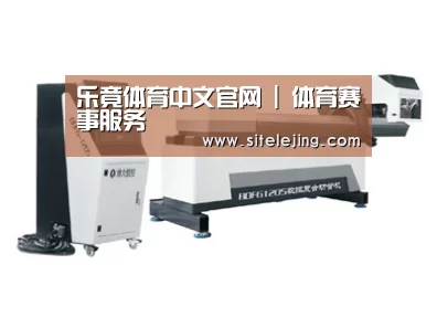 案例展示三