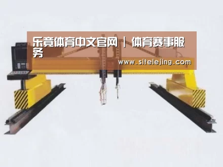 产品名称十七