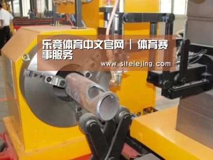 产品名称十二