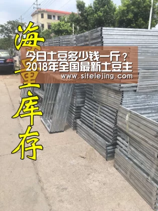 百家乐