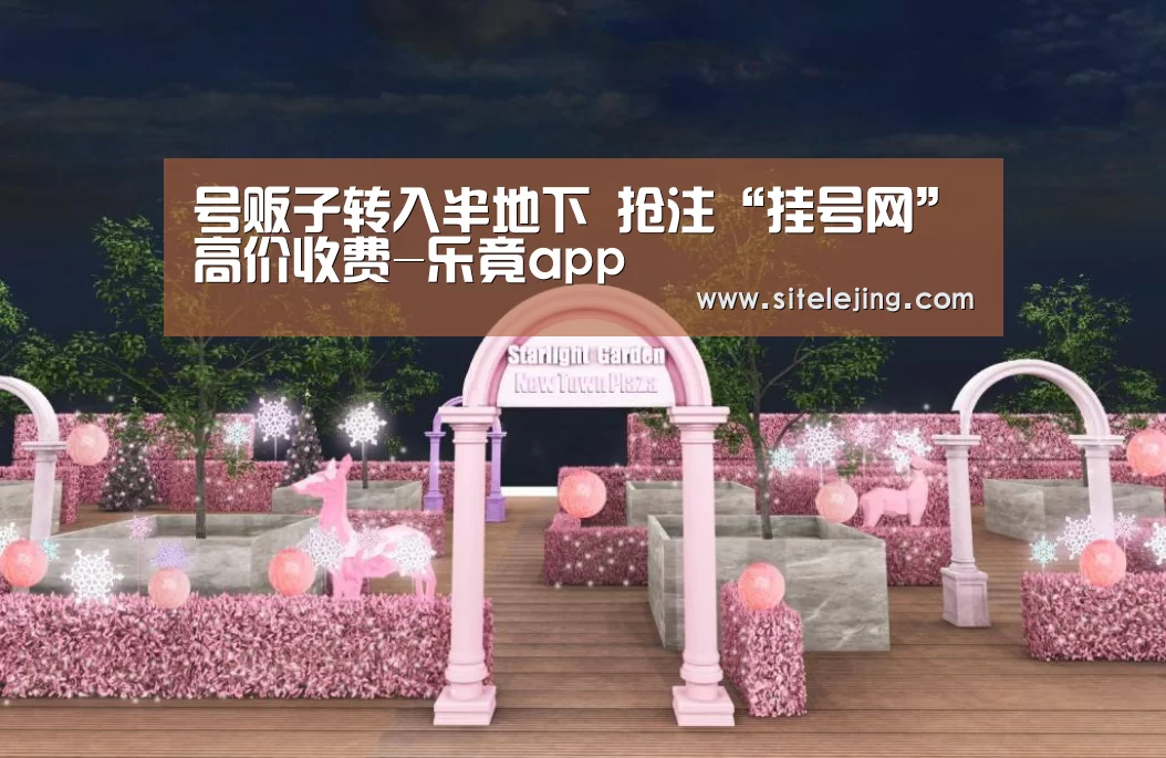 号贩子转入半地下 抢注“挂号网”高价收费-乐竟app