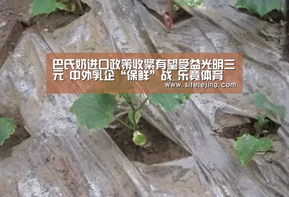 巴氏奶进口政策收紧有望受益光明三元 中外乳企“保鲜”战_乐竟体育(图4) 乐竟app