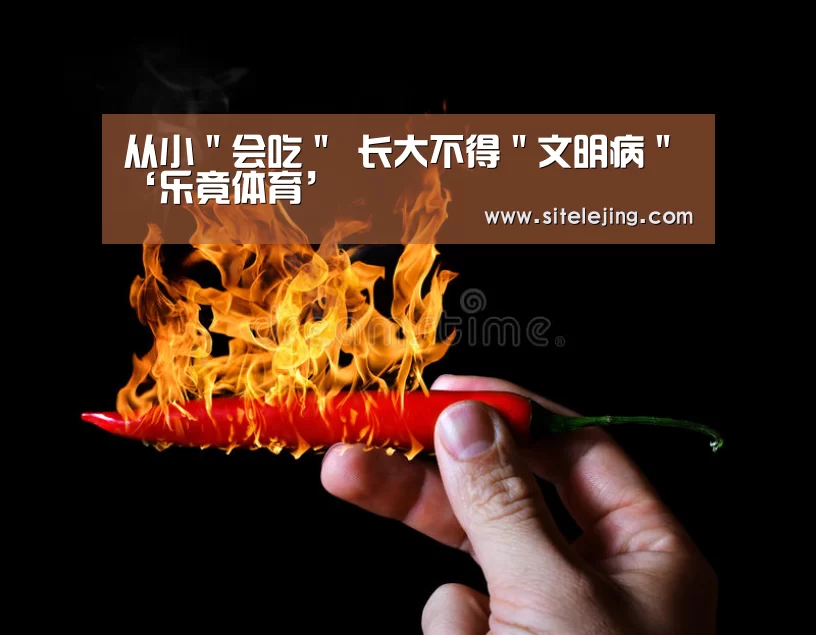乐竟app