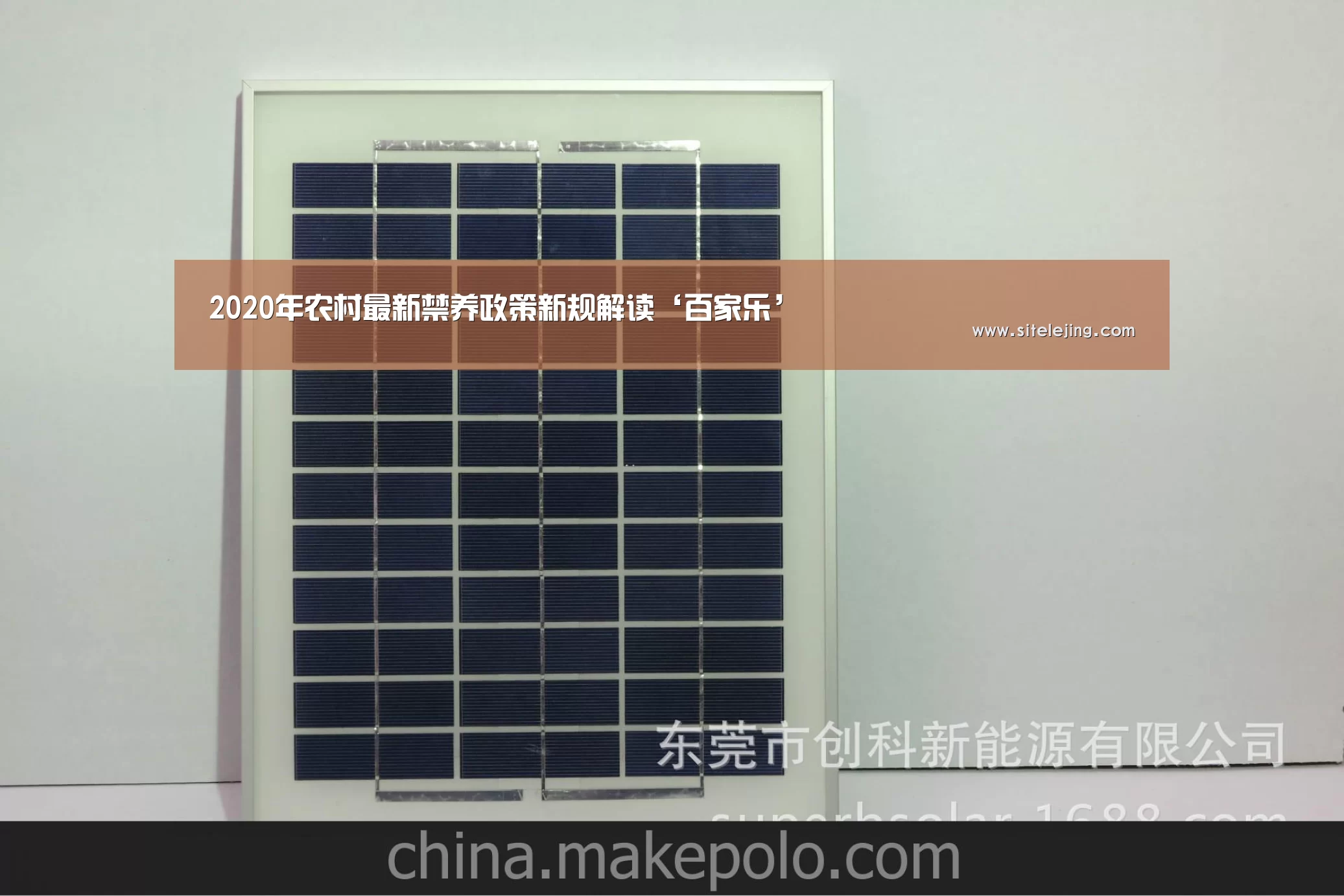 2020年农村最新禁养政策新规解读‘百家乐’
