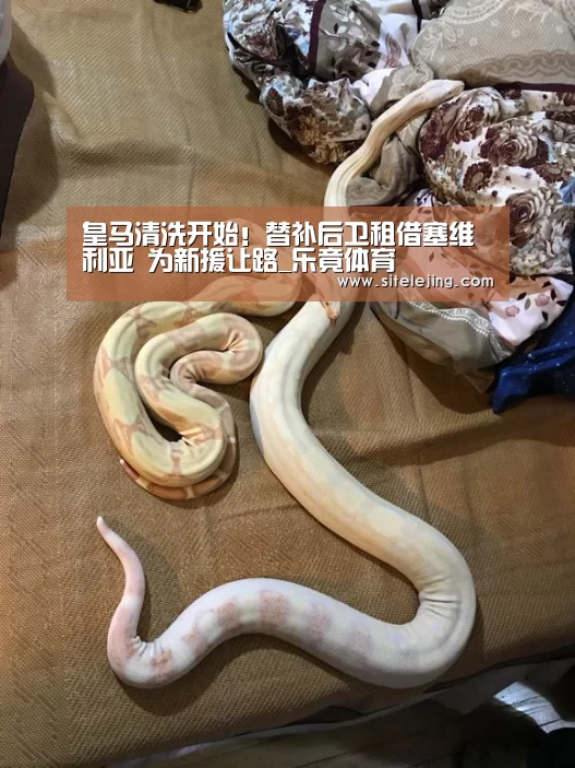 皇马清洗开始！替补后卫租借塞维利亚 为新援让路_乐竟体育