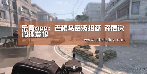 乐竟app:老根乌密汤招商 深层次调理发根(图2) 乐竟app