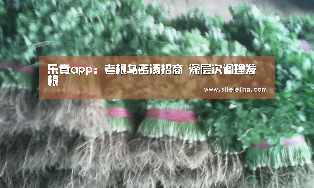 乐竟app:老根乌密汤招商 深层次调理发根(图4) 百家乐