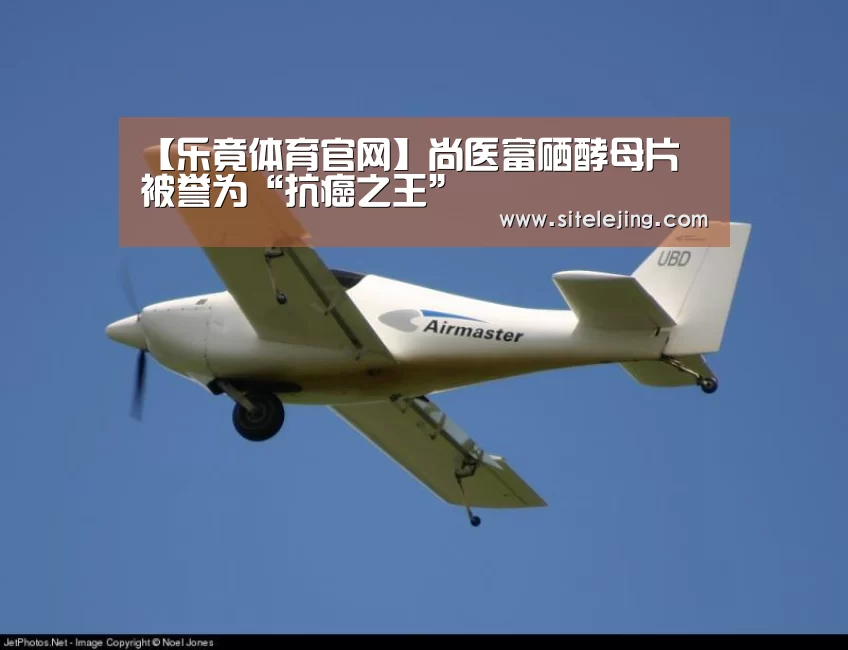 百家乐