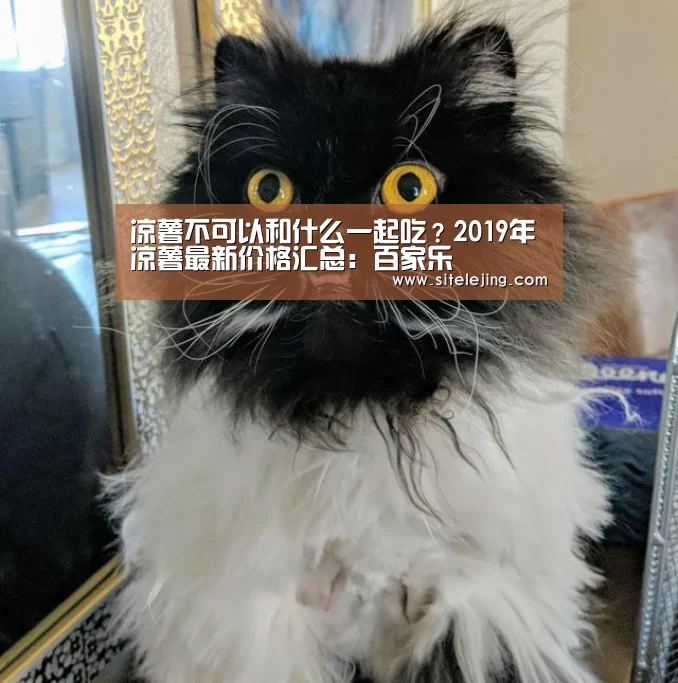 乐竟app