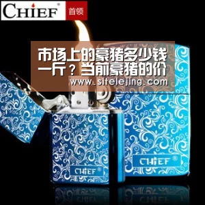 乐竟体育官网