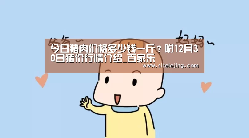 乐竟体育官网