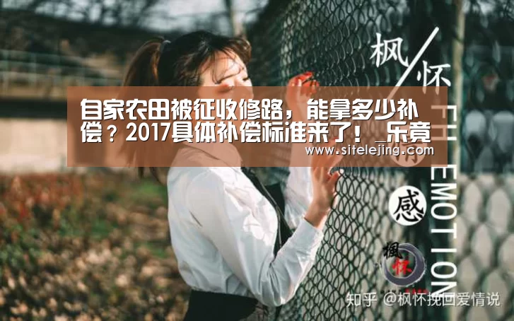 乐竟体育